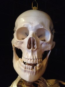 Alfred & Constance 002