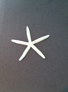 HiltonSurfersParadise 013