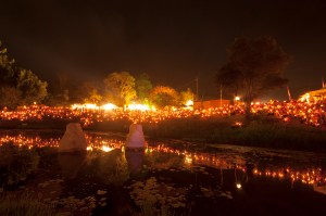 8331553895_7f9691cf5a_o