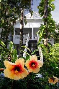 Flowers looking up to to Brigadier Rooms