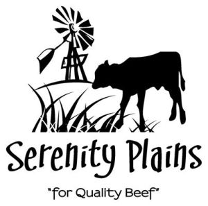 10151382_856459521038263_1012706527_n