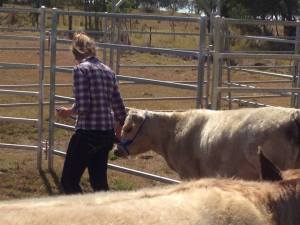 1231697_735156079835275_1399047990_n