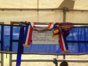 923536_853960007954881_301084375_n