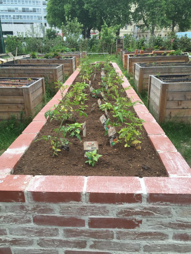 The garden where the "incident" took place