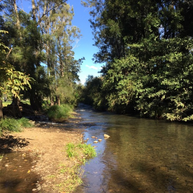 CanungraValleyCreek
