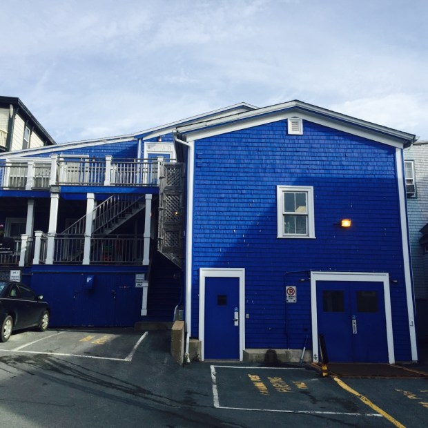 This business owner would never be blue