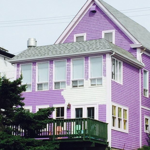 Or perhaps purple is more your thing