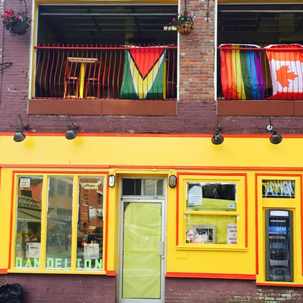 This shop in Halifax was as golden as the sun