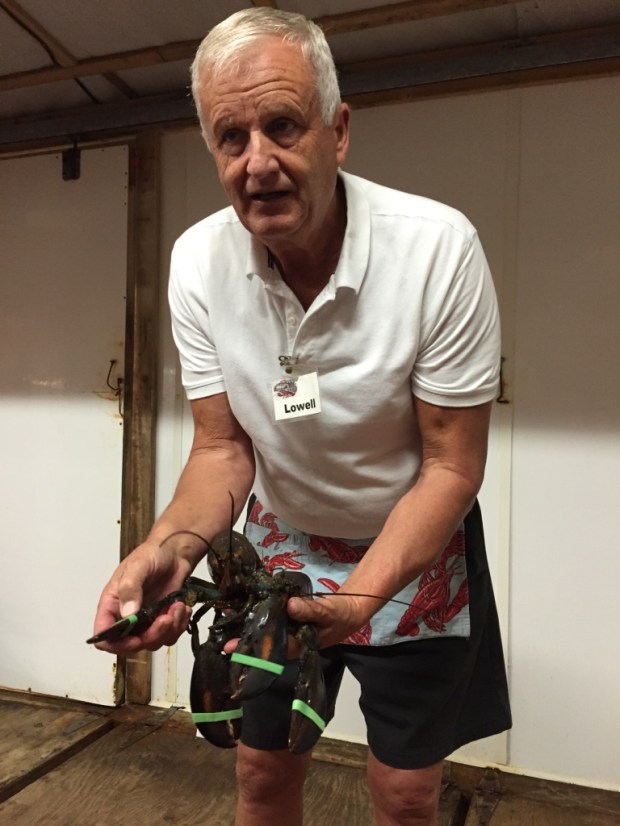 Lowell taught me all about lobster sex...