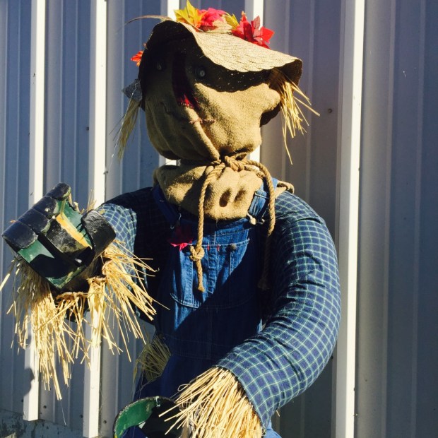 It's scarecrow season in Nova Scotia