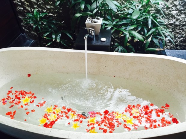 FrangipaniFrenzyThree