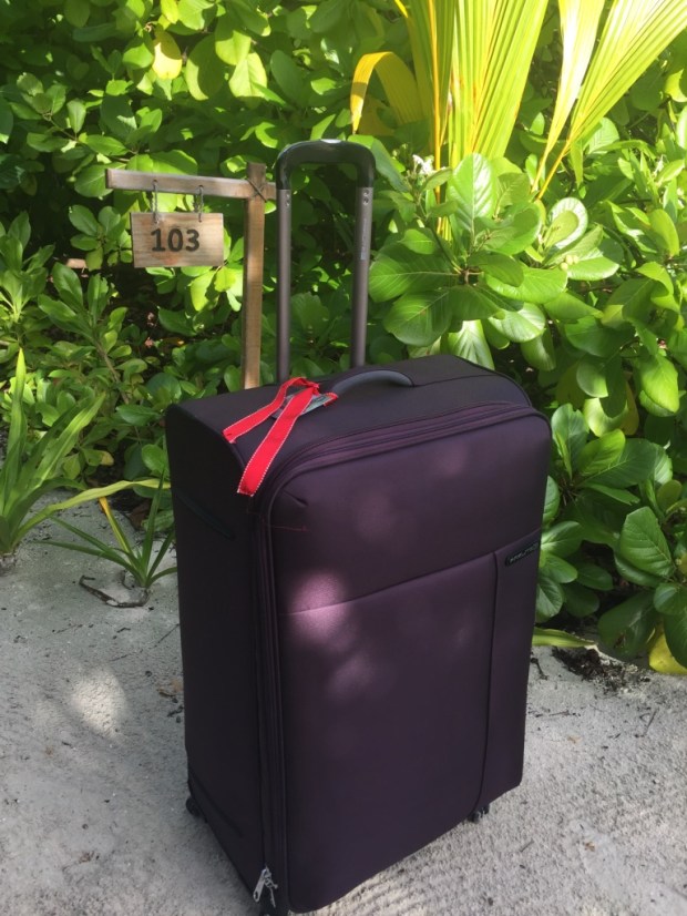 Due to its tropical locale,there's plenty of lush greenery on this tiny island