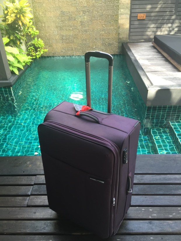 My new luggage enjoyed lounging around the private pool of my one-bedroom suite almost as much as I did.