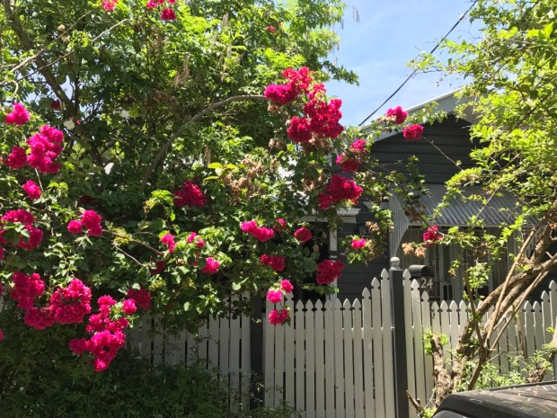 Front house view after