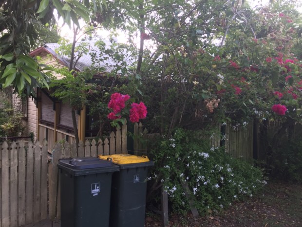 Front house view before